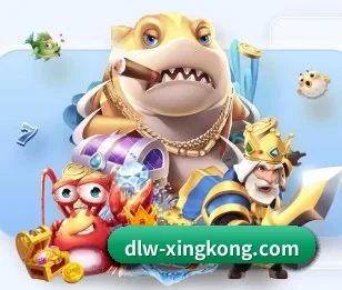 dlw-xingkong.com的故事