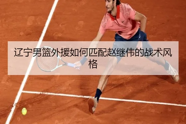 辽宁男篮外援如何匹配赵继伟的战术风格