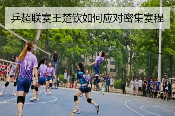 乒超联赛王楚钦如何应对密集赛程